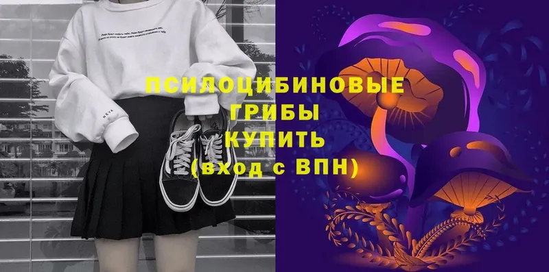 Галлюциногенные грибы Psilocybe  купить  цена  Азнакаево 